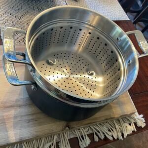 All-Clad pan essentials 7quart pan with insert